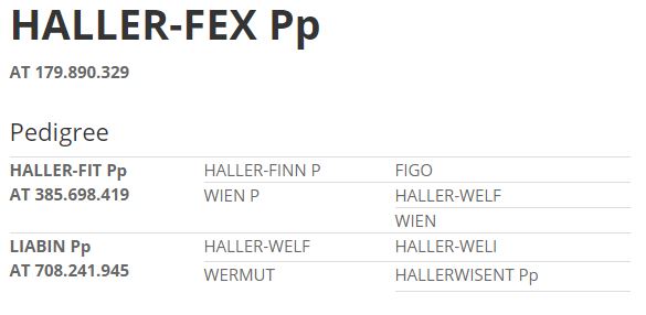 Haller Fex Pinzgauer